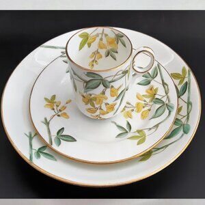 Antique Hand Painted Cup and 2 plates Rare Made in England Bone China 1800s